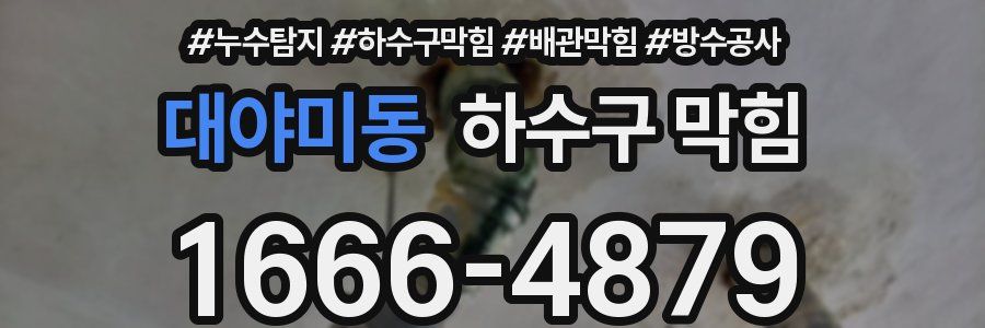 대야미동 하수구 막힘