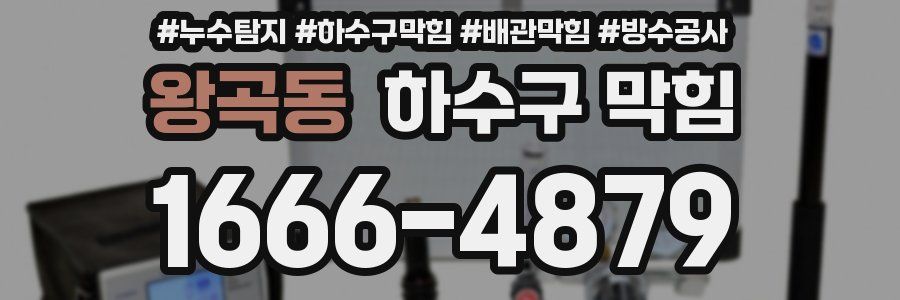 왕곡동 하수구 막힘
