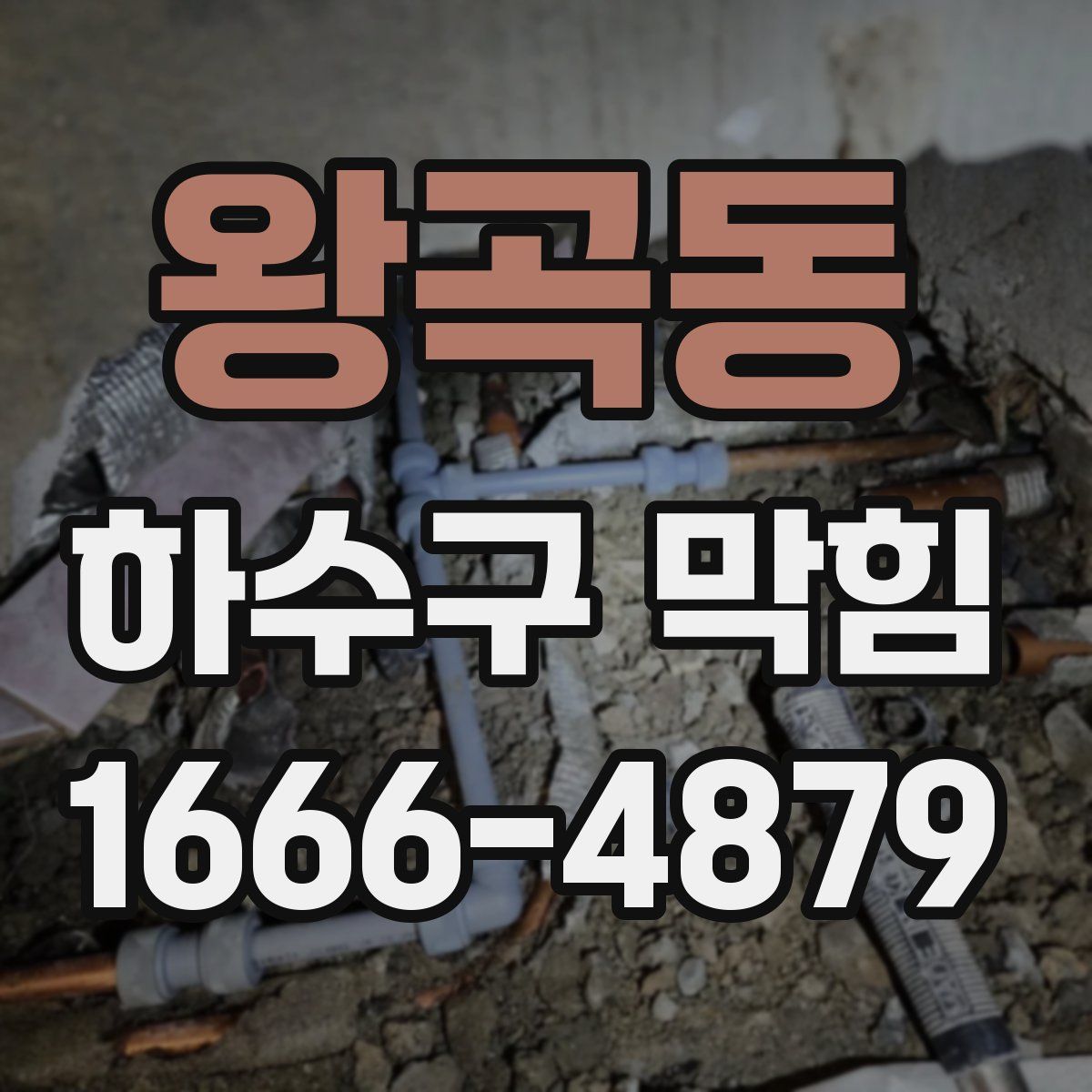 왕곡동 하수구 막힘