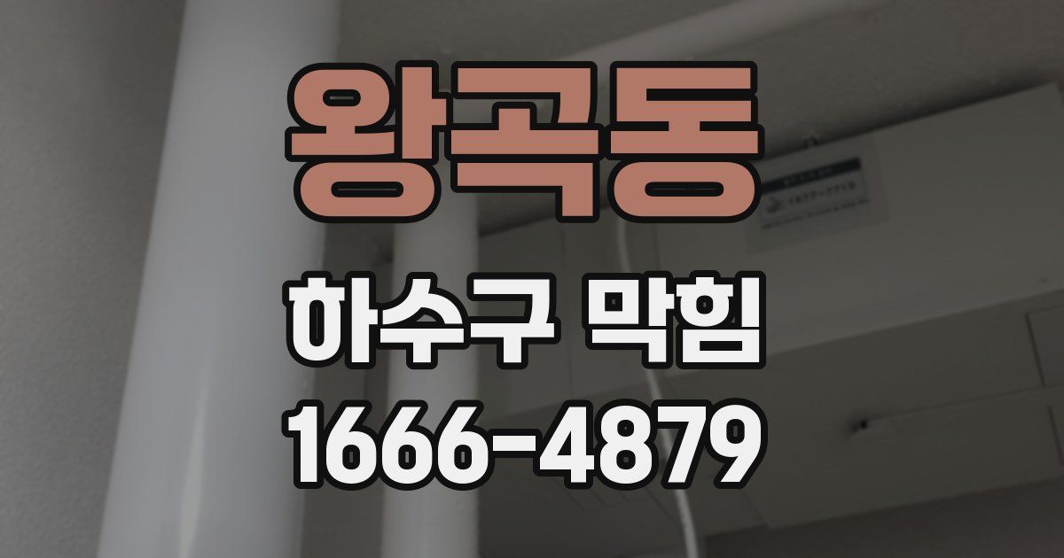 왕곡동 하수구 막힘