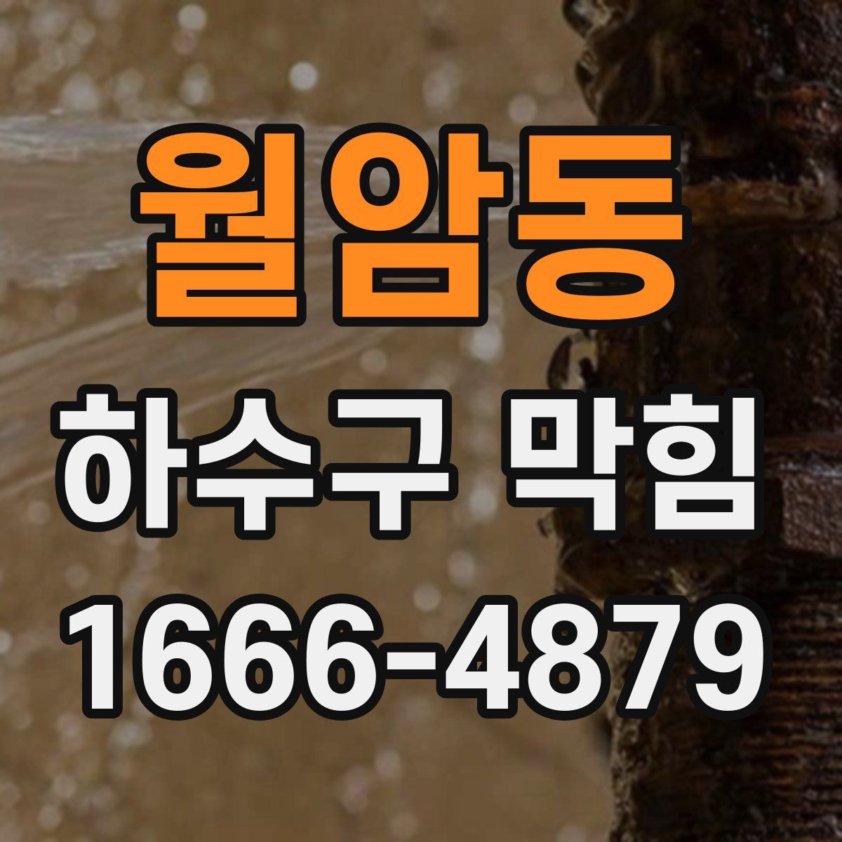 월암동 하수구 막힘