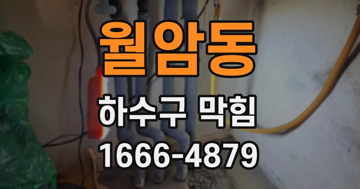 월암동 하수구 막힘