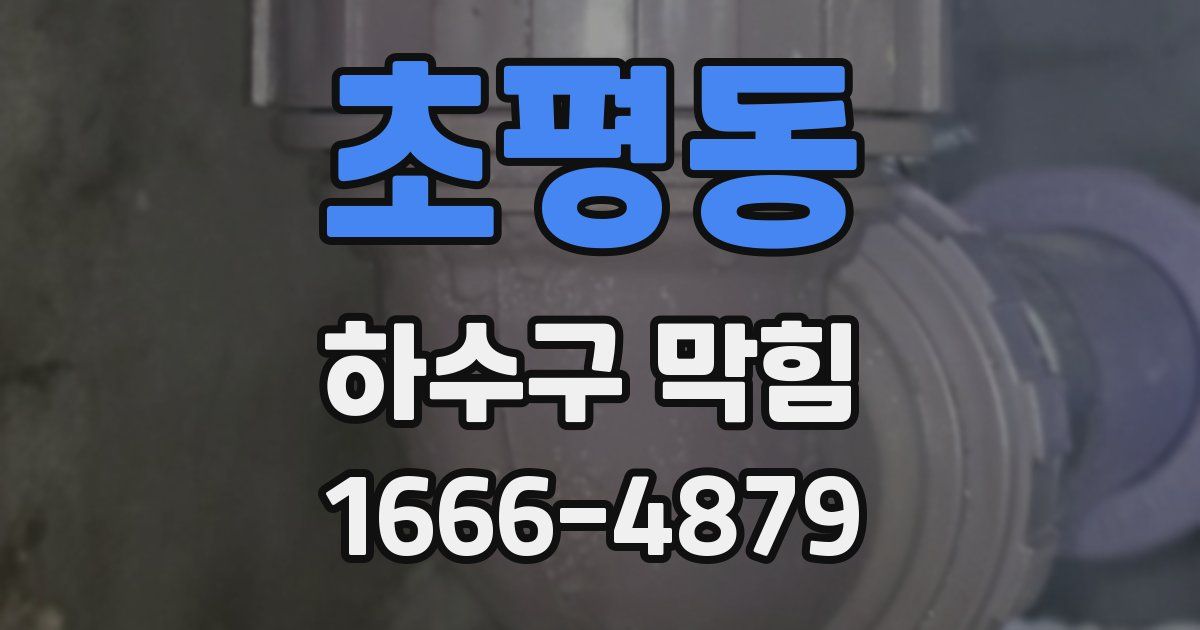 초평동 하수구 막힘