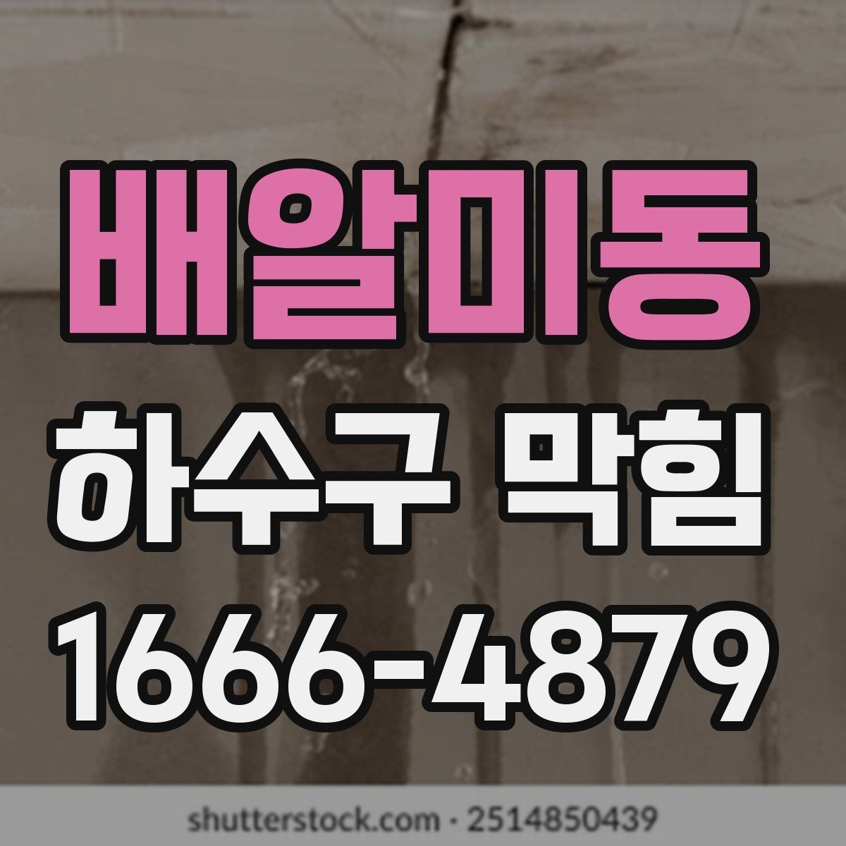 배알미동 하수구 막힘