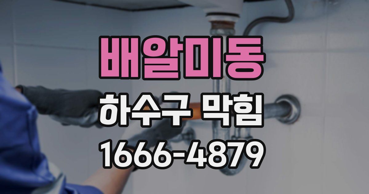 배알미동 하수구 막힘