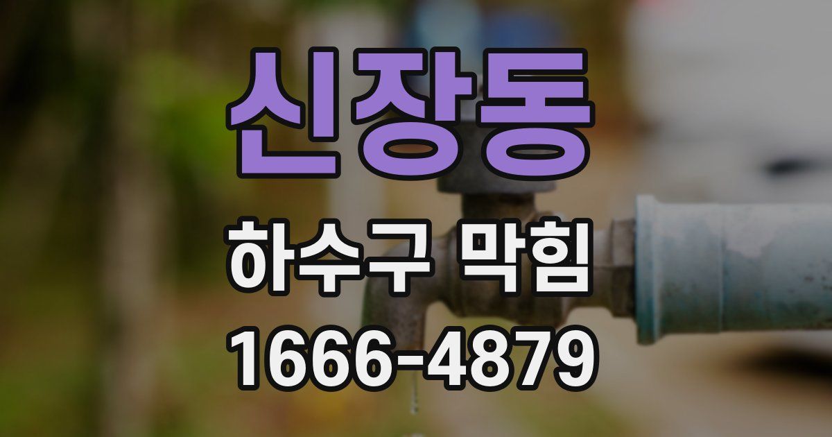 신장동 하수구 막힘