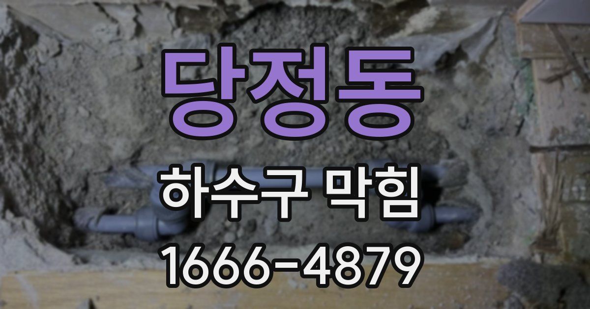 당정동 하수구 막힘