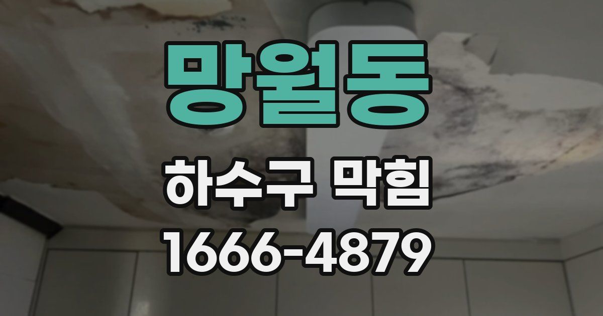 망월동 하수구 막힘