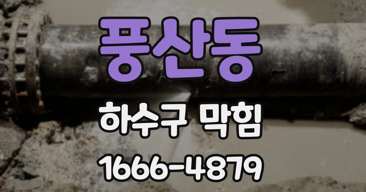 풍산동 하수구 막힘