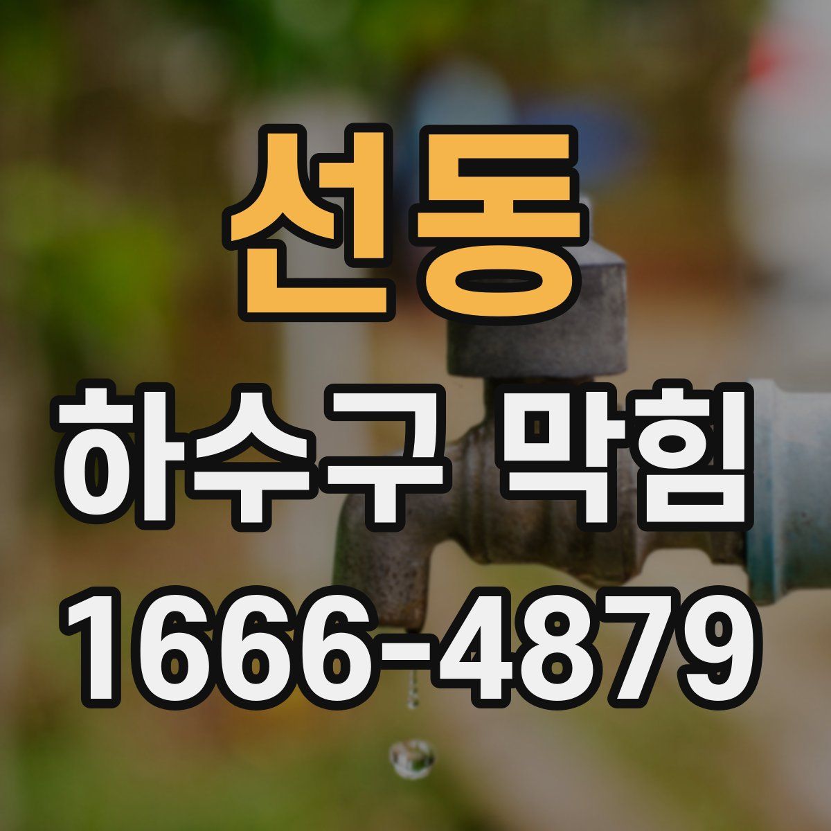 선동 하수구 막힘
