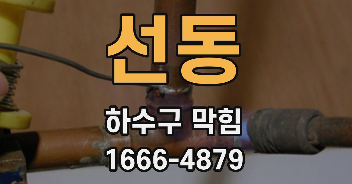 선동 하수구 막힘