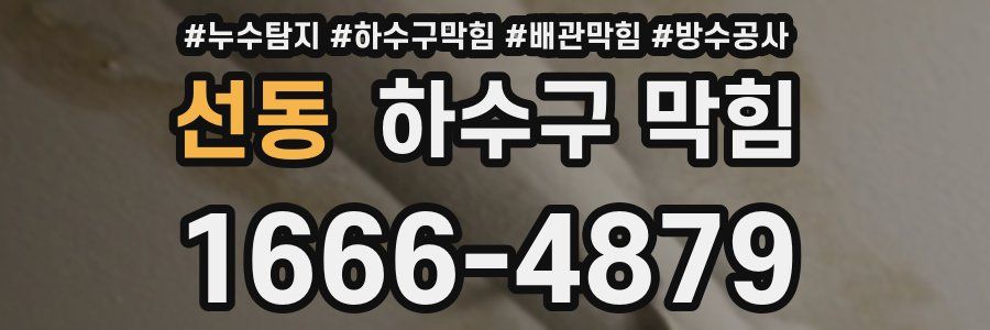 선동 하수구 막힘