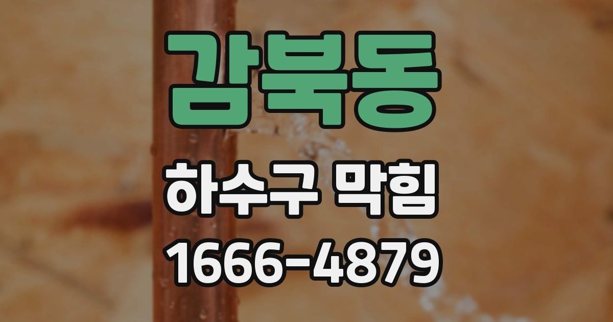 감북동 하수구 막힘