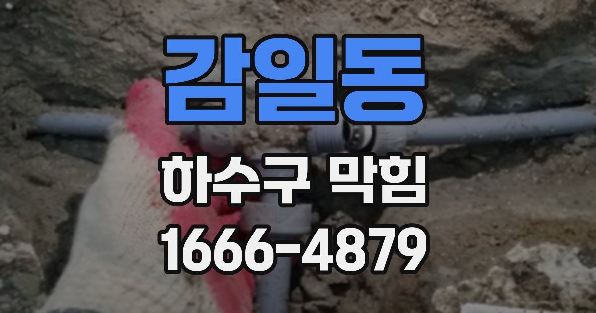 감일동 하수구 막힘