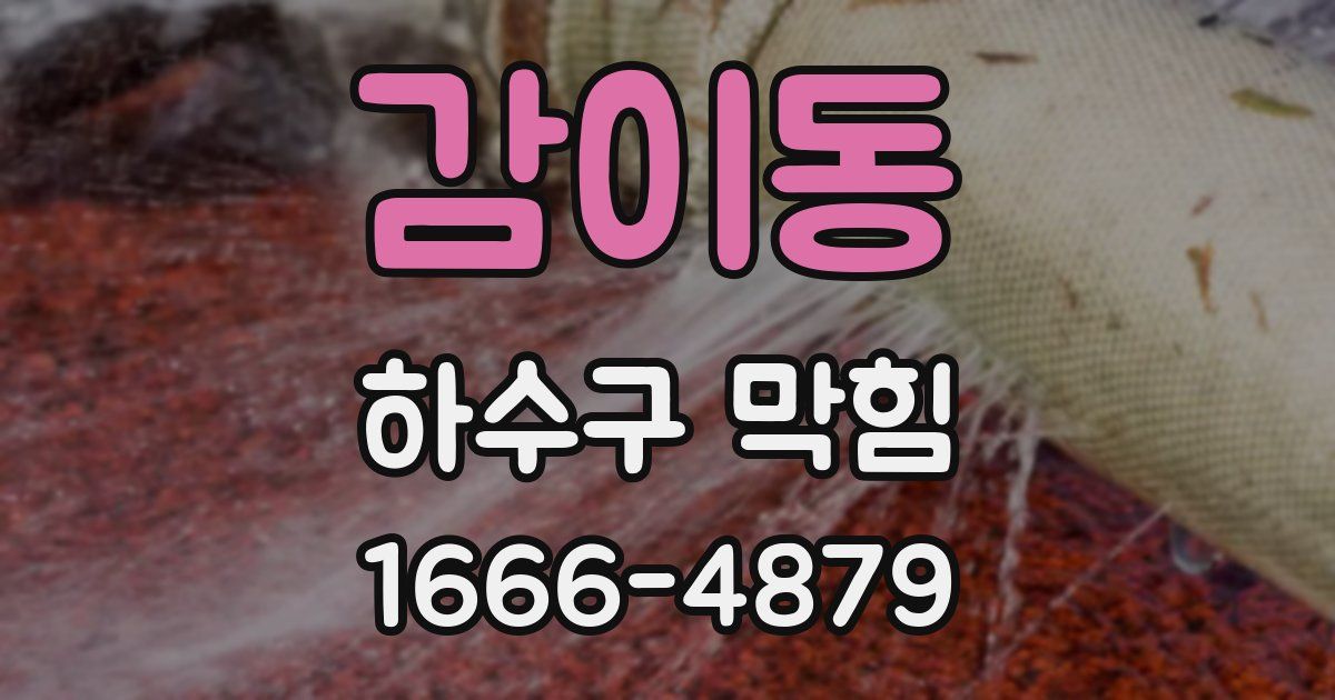 감이동 하수구 막힘
