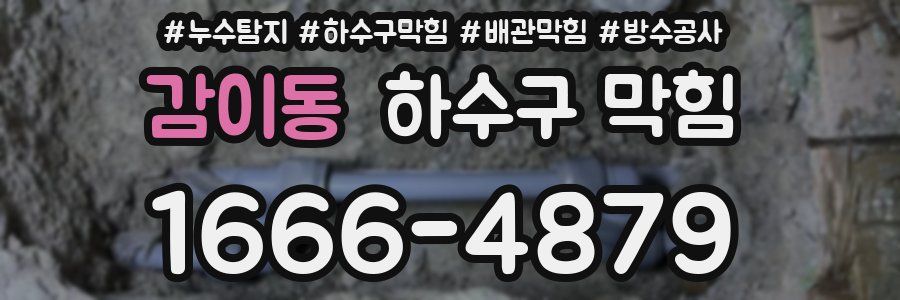 감이동 하수구 막힘