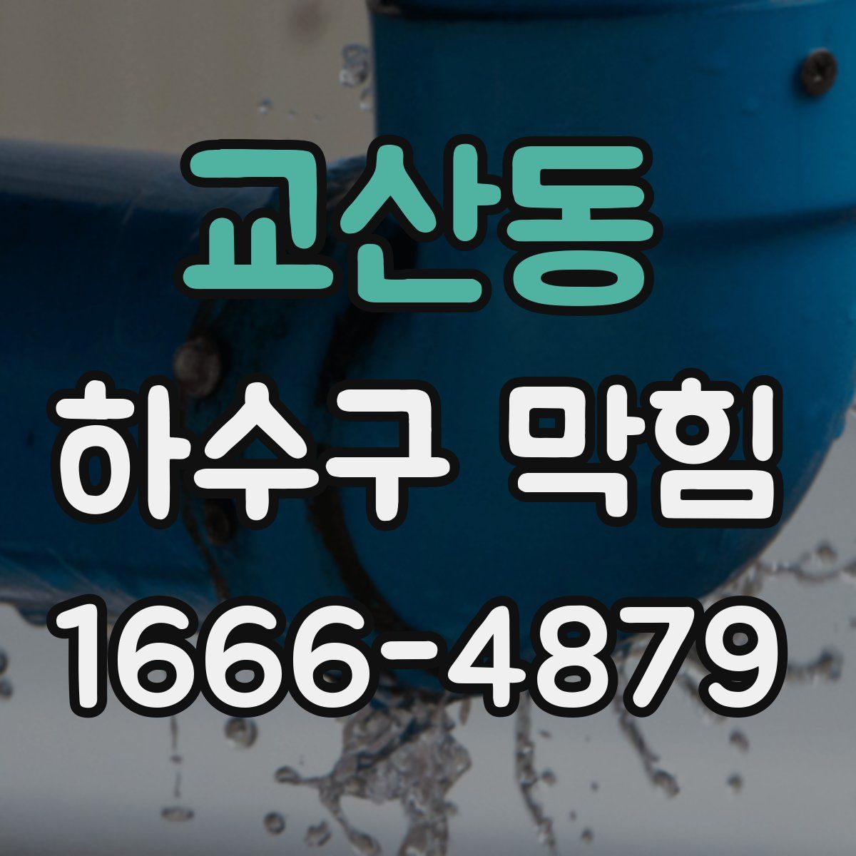 교산동 하수구 막힘