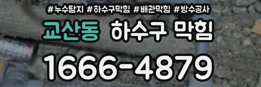 교산동 하수구 막힘
