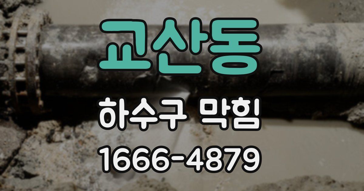 교산동 하수구 막힘