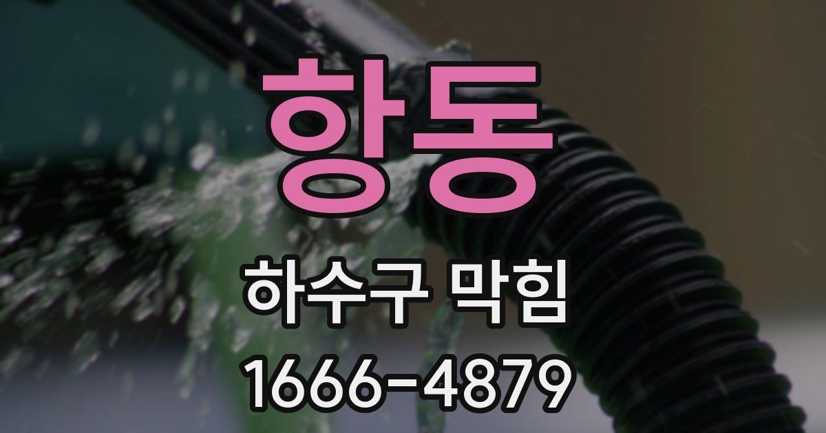 항동 하수구 막힘