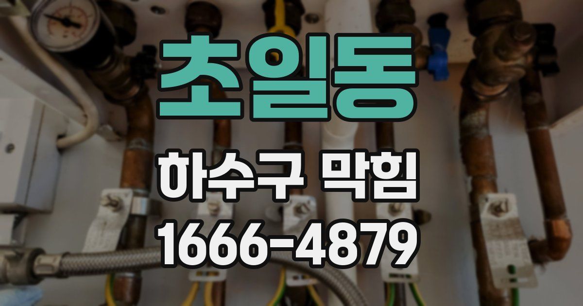 초일동 하수구 막힘