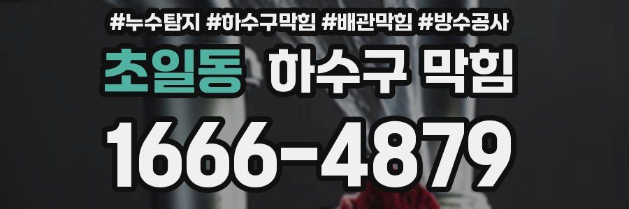초일동 하수구 막힘