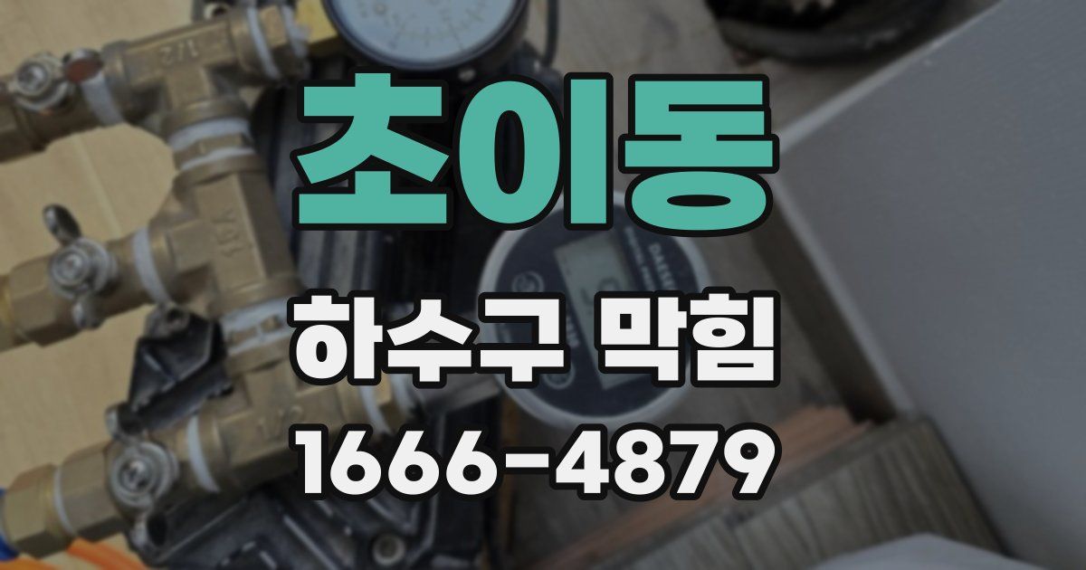 초이동 하수구 막힘