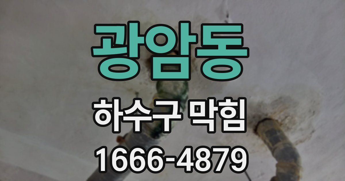 광암동 하수구 막힘