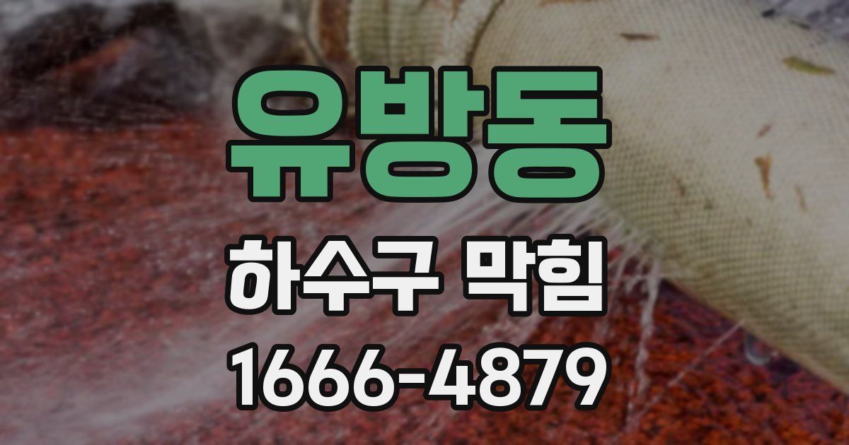 유방동 하수구 막힘