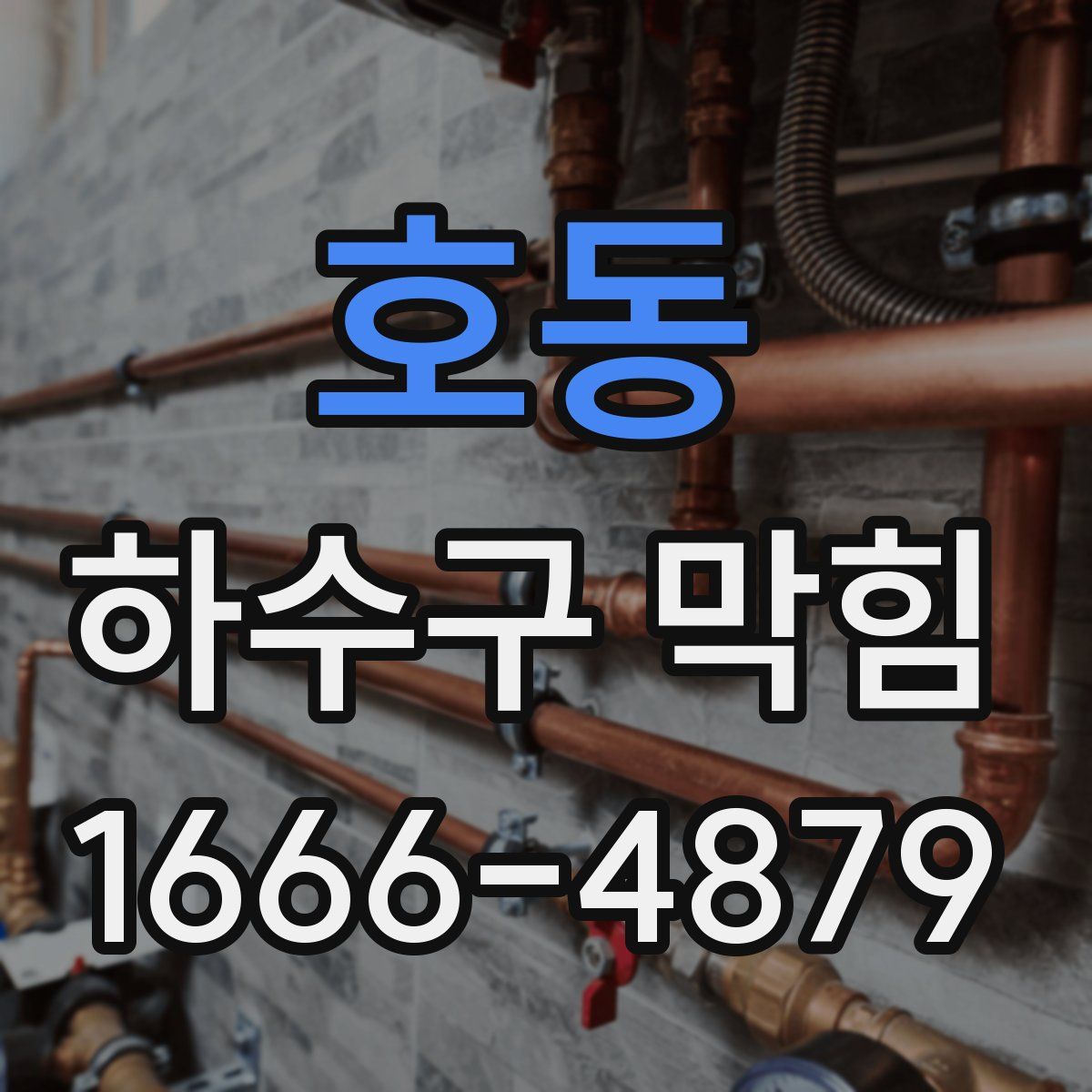 호동 하수구 막힘