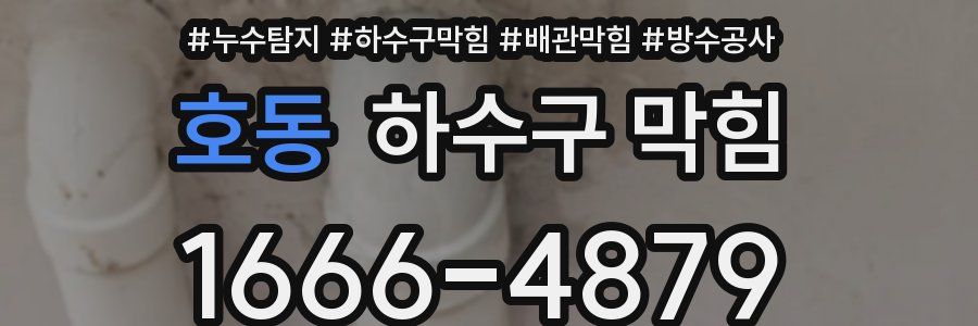호동 하수구 막힘