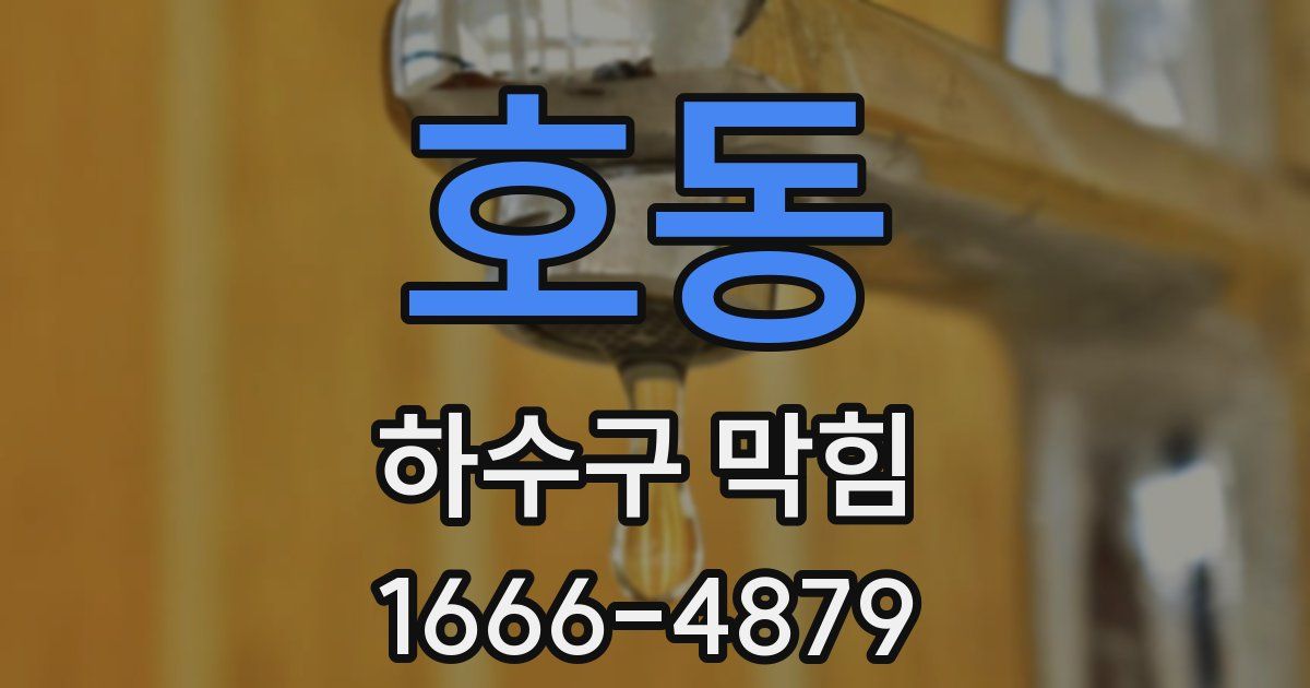 호동 하수구 막힘