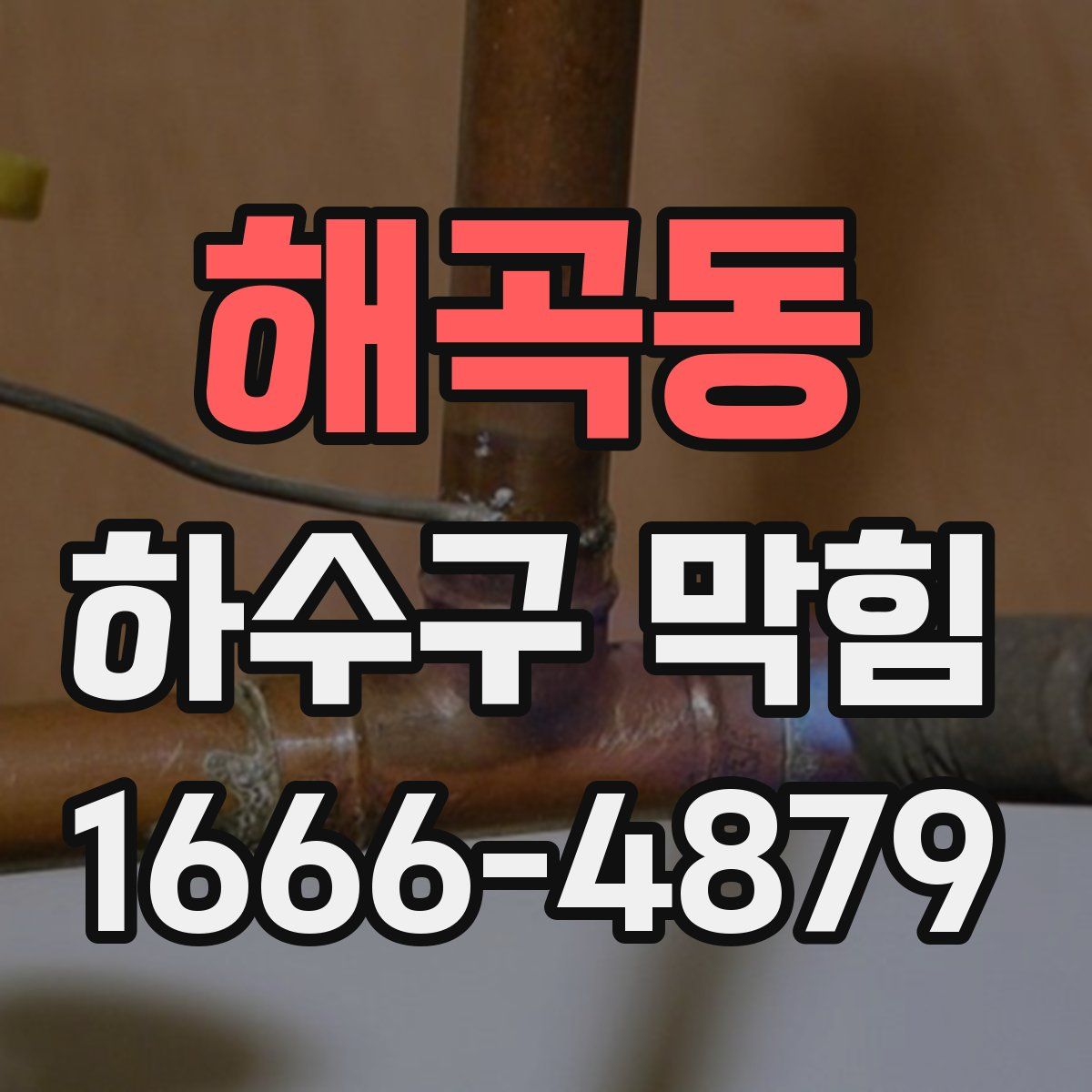 해곡동 하수구 막힘