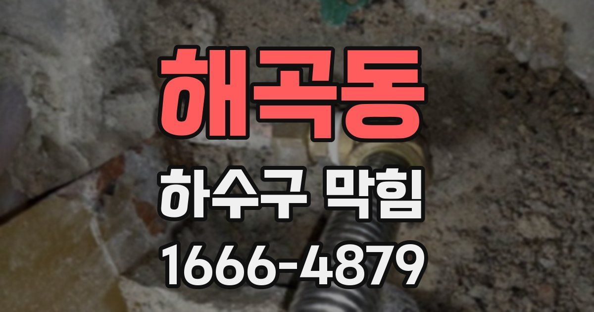 해곡동 하수구 막힘