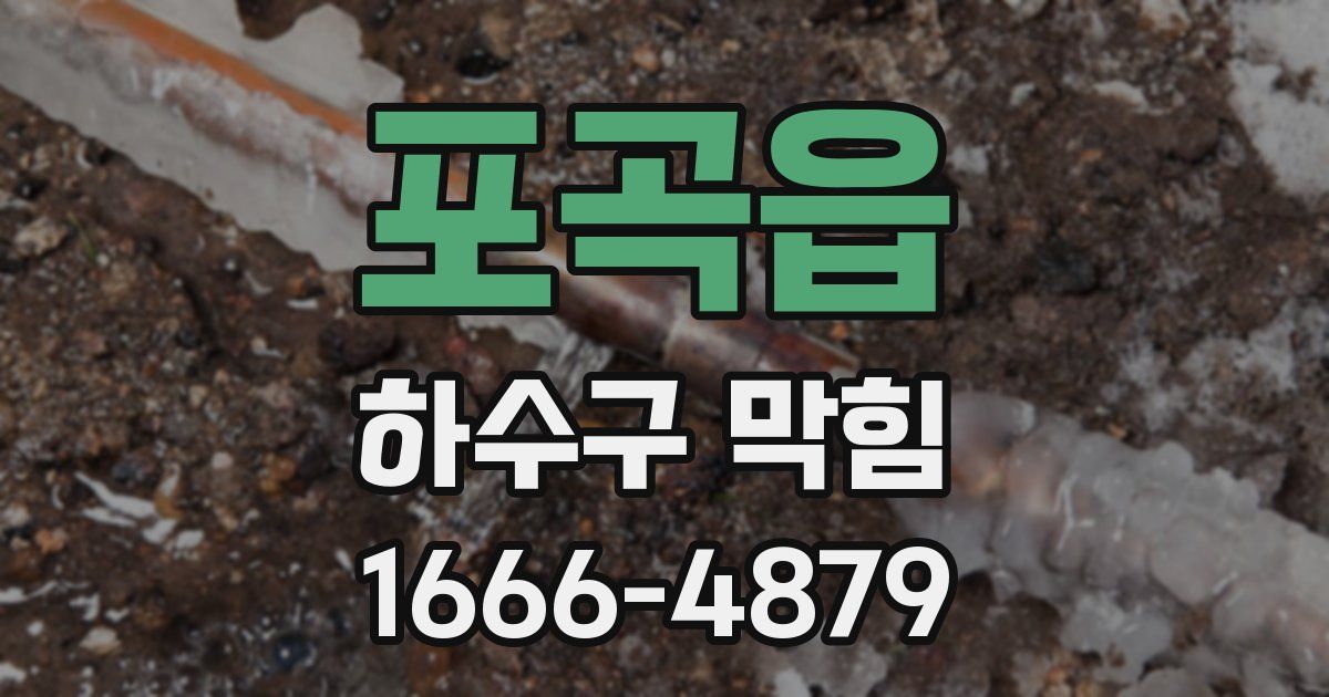 포곡읍 하수구 막힘