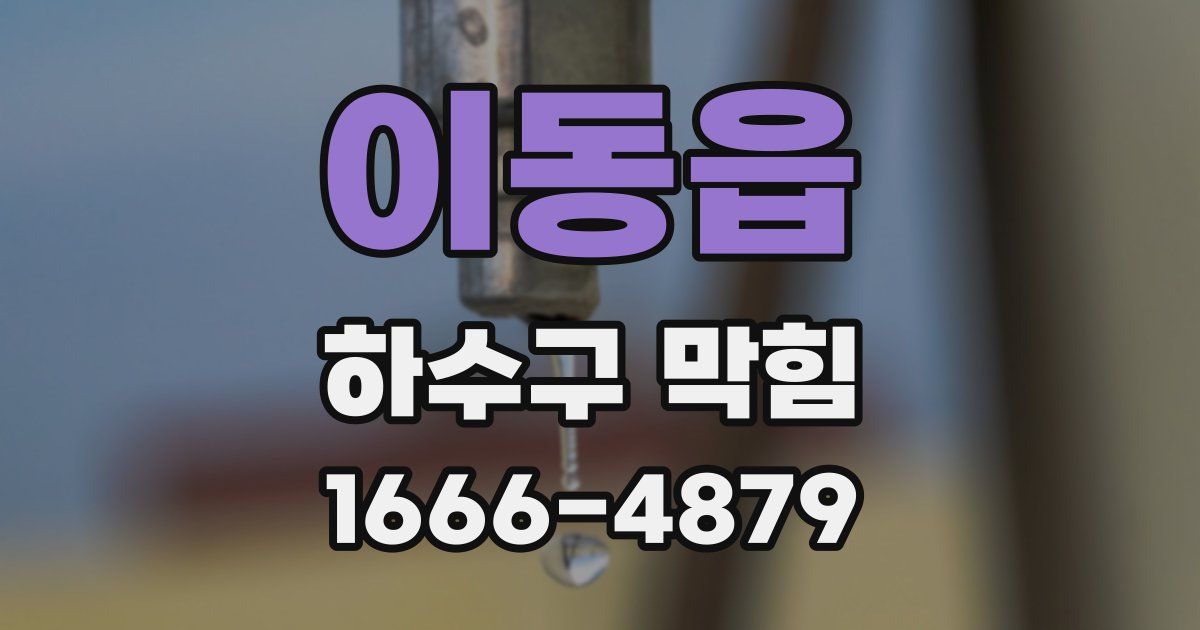 이동읍 하수구 막힘