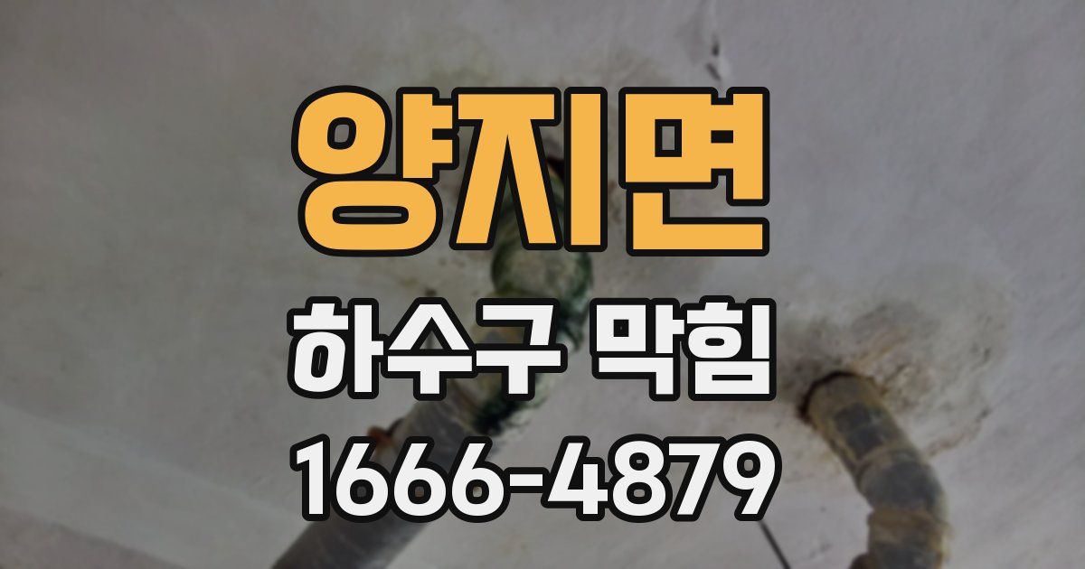 양지면 하수구 막힘