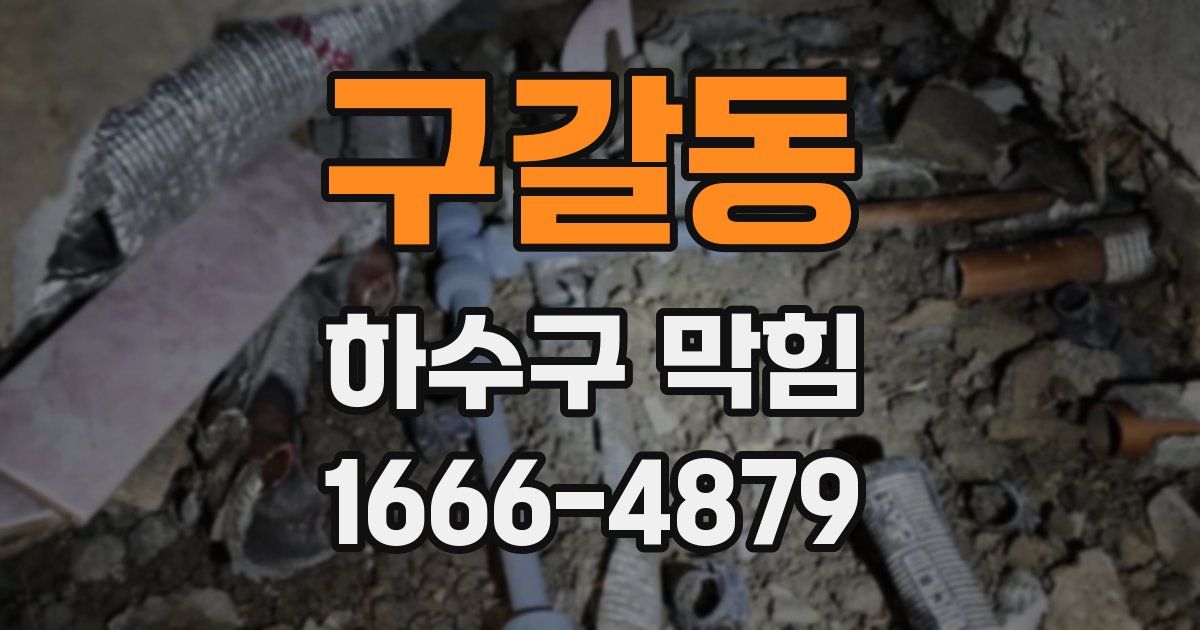 구갈동 하수구 막힘