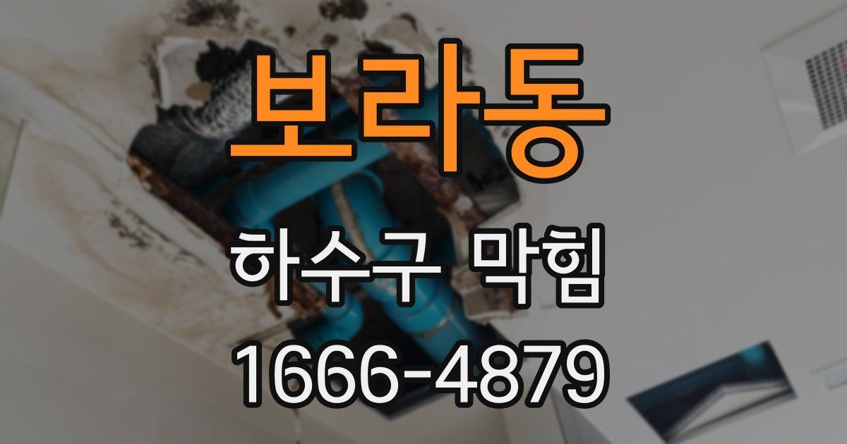 보라동 하수구 막힘