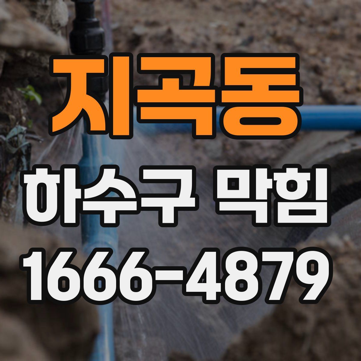 지곡동 하수구 막힘