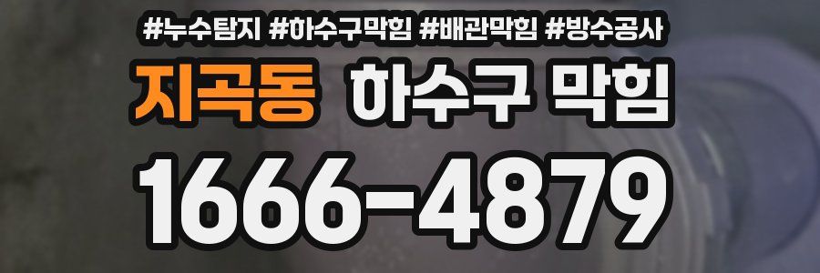지곡동 하수구 막힘