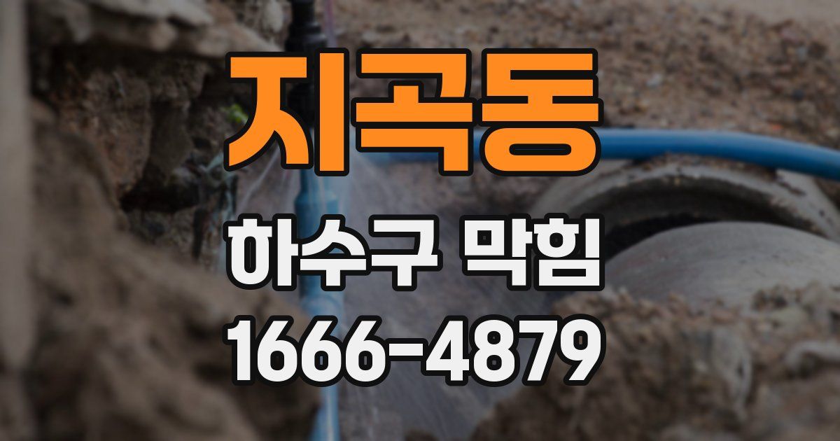 지곡동 하수구 막힘