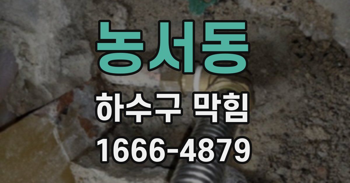 농서동 하수구 막힘