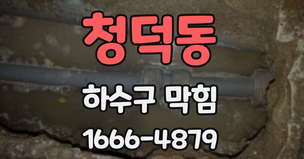 청덕동 하수구 막힘