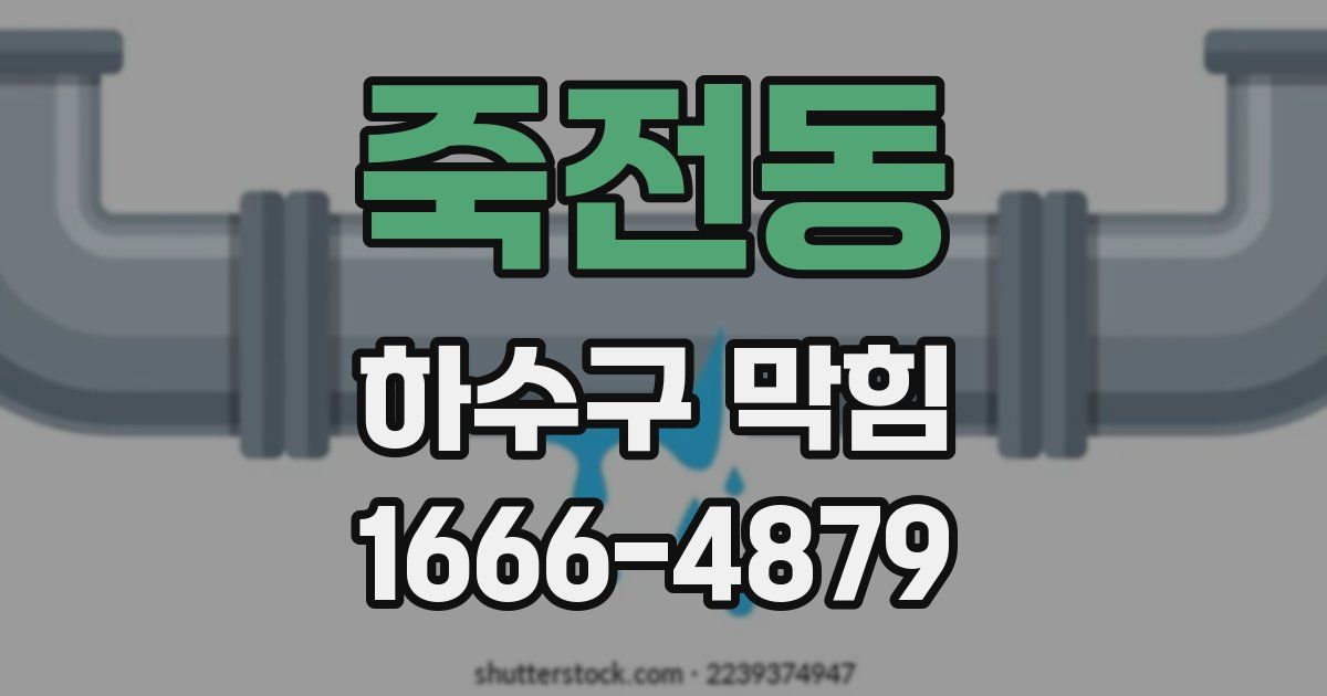 죽전동 하수구 막힘