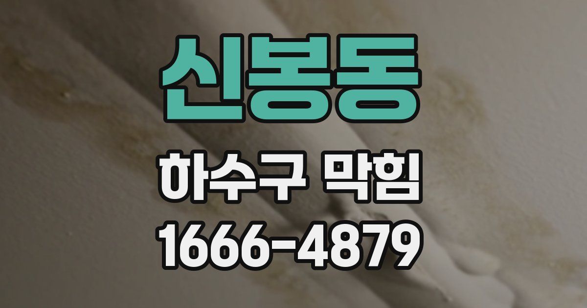 신봉동 하수구 막힘