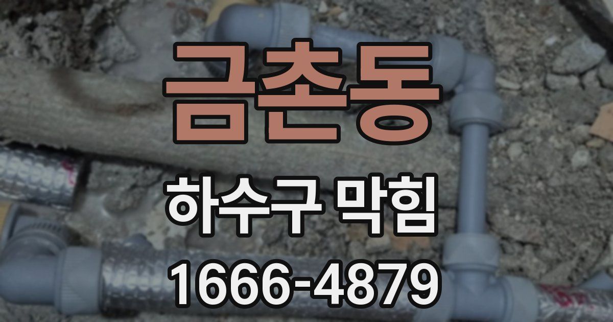 금촌동 하수구 막힘