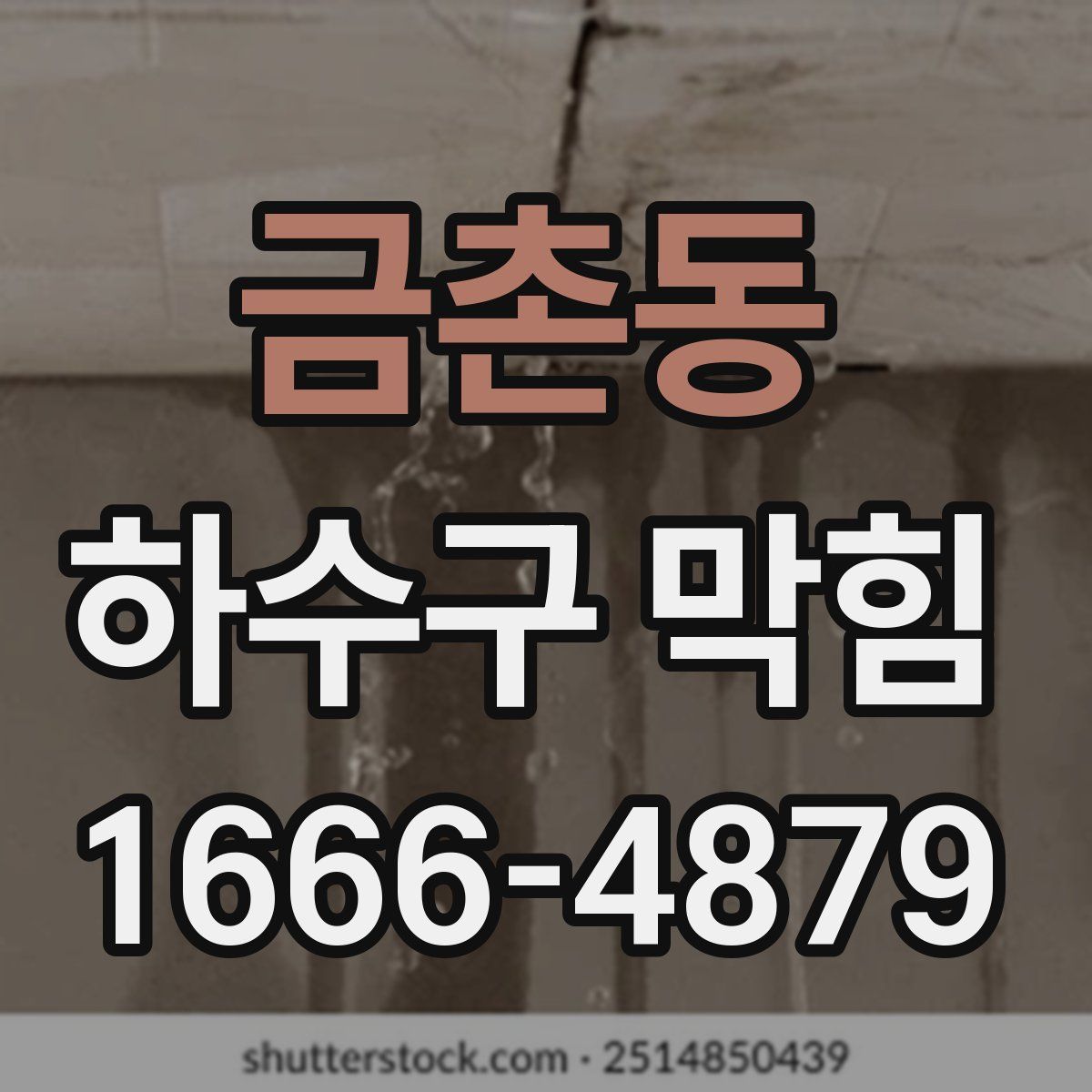 금촌동 하수구 막힘