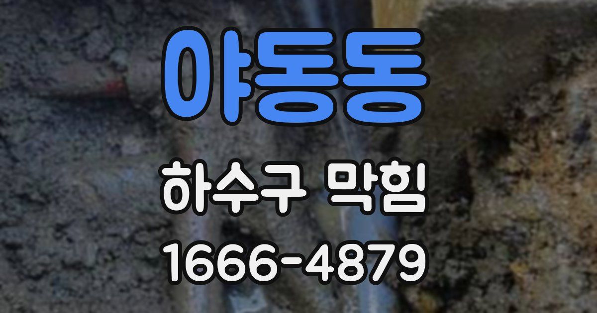 야동동 하수구 막힘