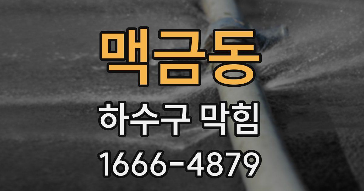 맥금동 하수구 막힘